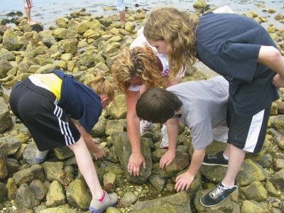 Students explore the rocky shoreline of the Sound: Judy Preston, CTSG