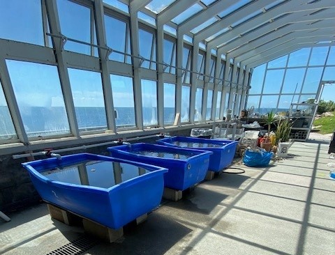 Rankin lab tanks