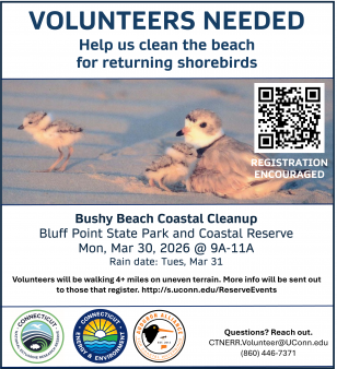 Flyer for clean up event