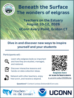 FLyer for workshop