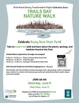 Flyer for event