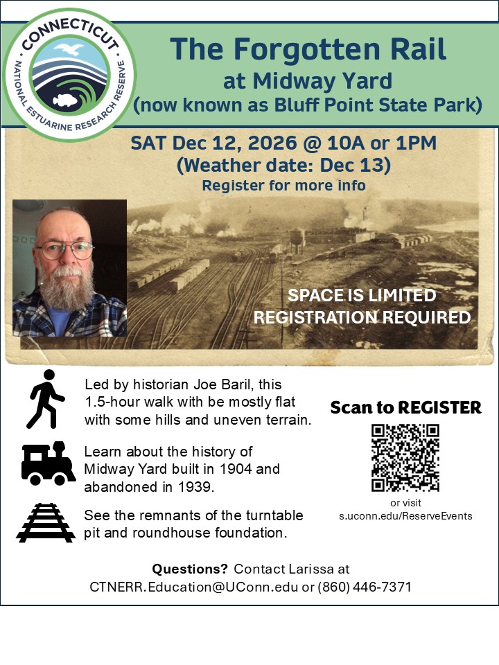 Flyer for event